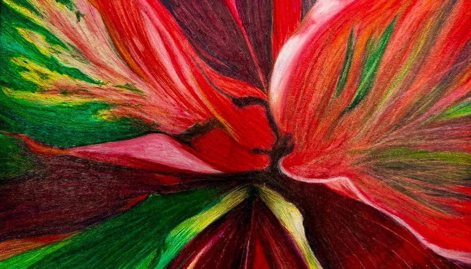 Kamehameha Schools Maui Students Secure Top Honors in 2026 Congressional District Art Competition